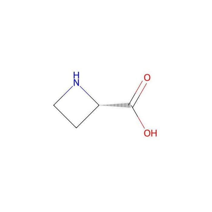 L-氮杂环丁烷-2-羧酸