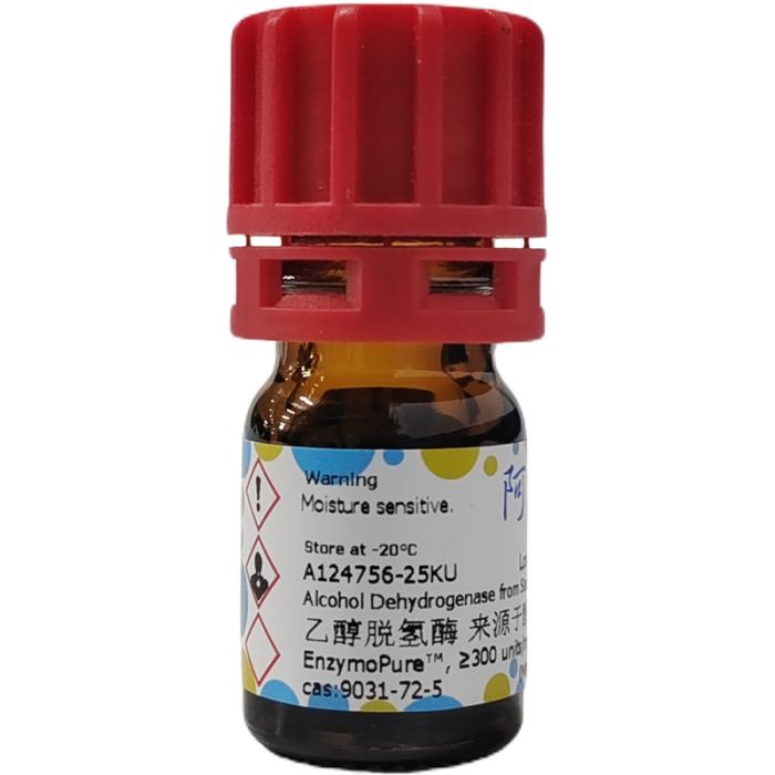 乙醇脱氢酶 来源于酿酒酵母