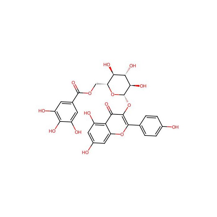 Astragalin 6''-gallate