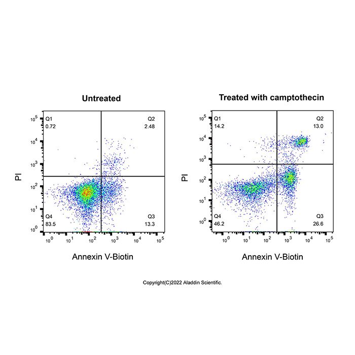 Annexin V-Biotin/PI细胞凋亡检测试剂盒