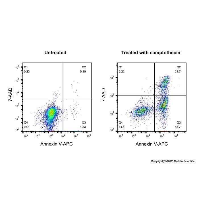 Annexin V-APC/7-AAD 细胞凋亡检测试剂盒