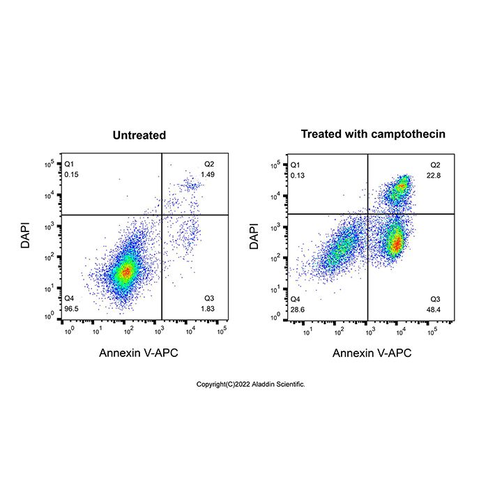 Annexin V-APC/DAPI 细胞凋亡检测试剂盒