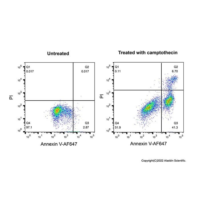 Annexin V-AF647/PI 细胞凋亡检测试剂盒