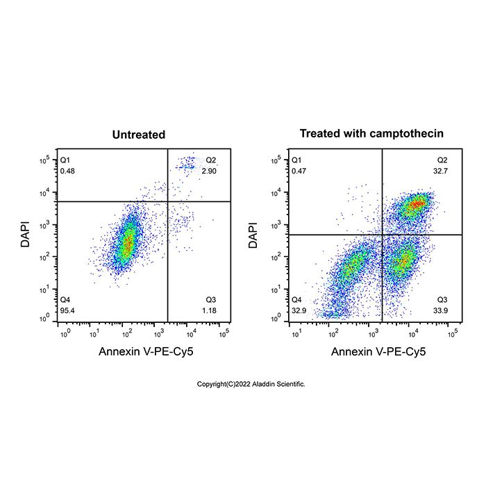 Annexin V-PE-Cy5/DAPI细胞凋亡检测试剂盒