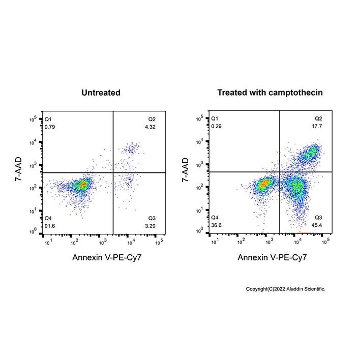 Annexin V-PE-Cy7/7-AAD 细胞凋亡检测试剂盒