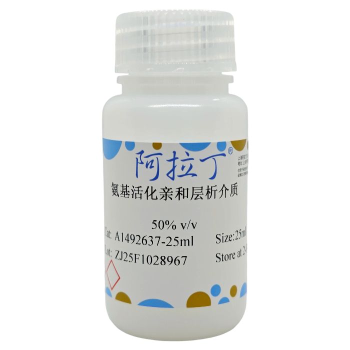 氨基活化亲和层析介质