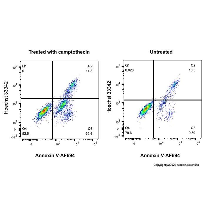 Annexin V-AF594/Hoechst 33342 细胞凋亡检测试剂盒