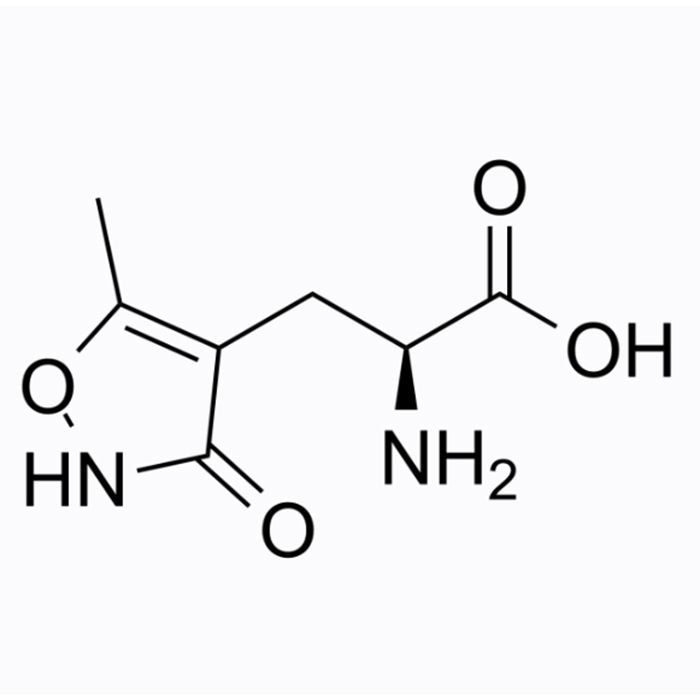 (S)-AMPA