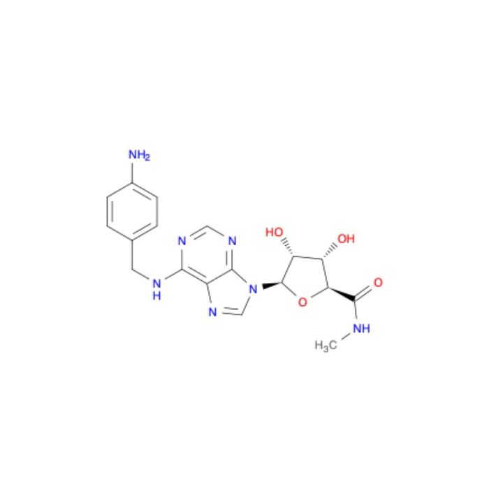 AB-MECA, A 2A 受体激动剂;A 3 受体激动剂