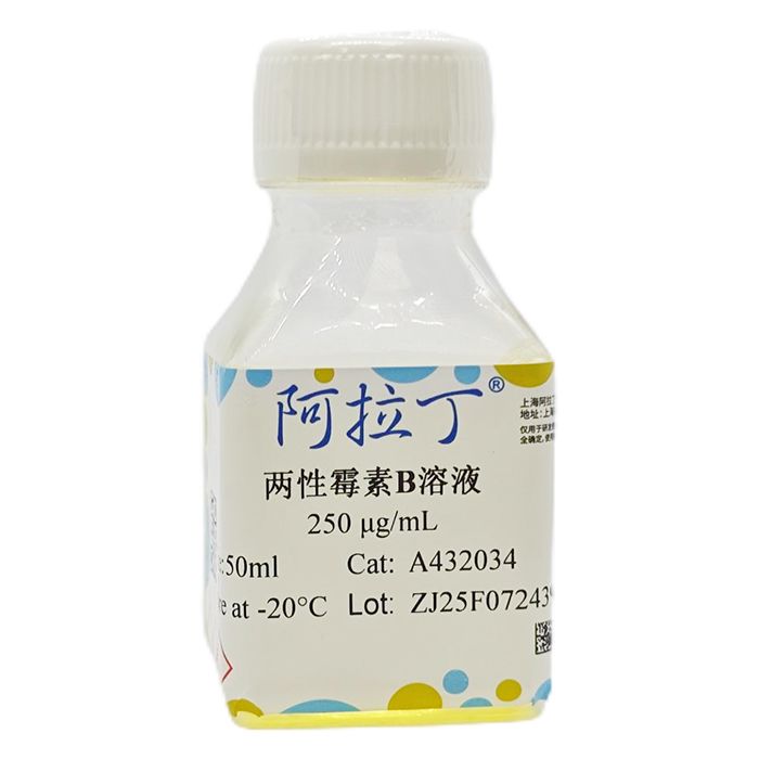 两性霉素B溶液