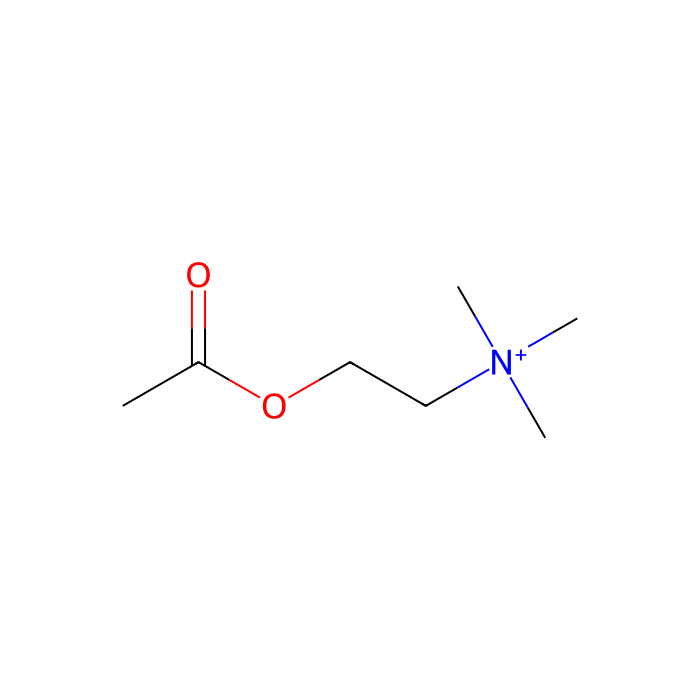 Acetylcholine, M 1 受体激动剂；M 2 受体激动剂；M 3 受体激动剂；M 4 受体激动剂；M 5 受体激动剂