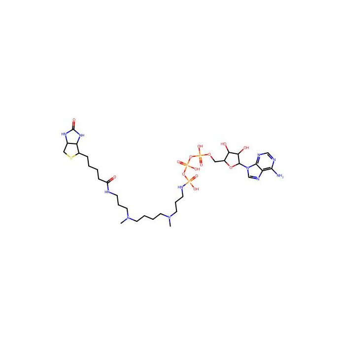 ATP-polyamine-biotin
