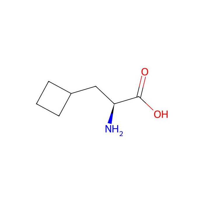 (S)-2-氨基-3-环丁基丙酸