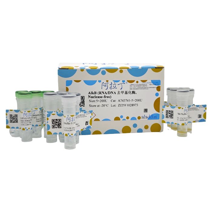 AlkB (RNA/DNA 去甲基化酶, Nuclease-free)