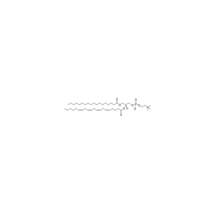 L-α-磷脂酰胆碱-β-花生四烯酰-γ-硬脂酰溶液
