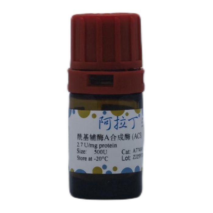 酰基辅酶A合成酶 (ACS)