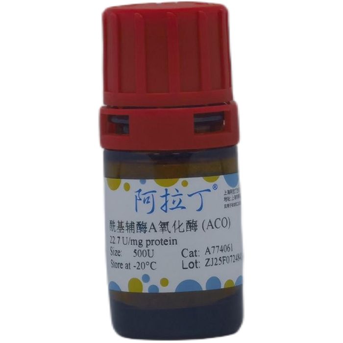 酰基辅酶A氧化酶 (ACO)
