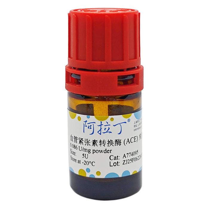 血管紧张素转换酶 (ACE) 来源于猪肺