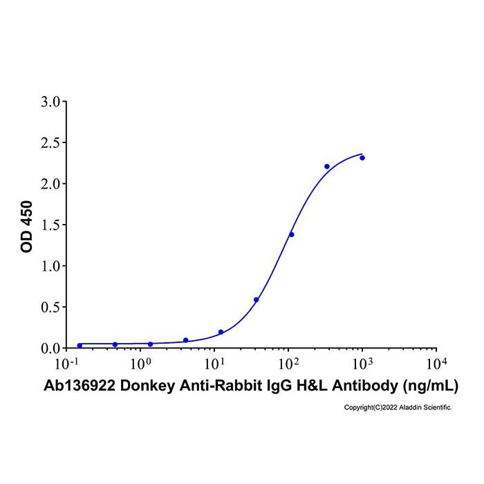Donkey Anti-Rabbit IgG H&L Antibody