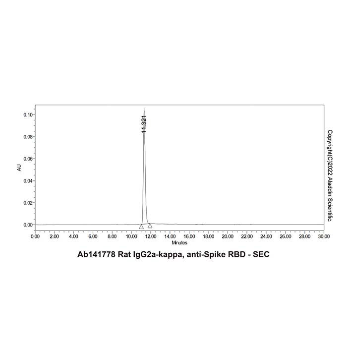 Rat IgG2a-kappa, anti-Spike RBD