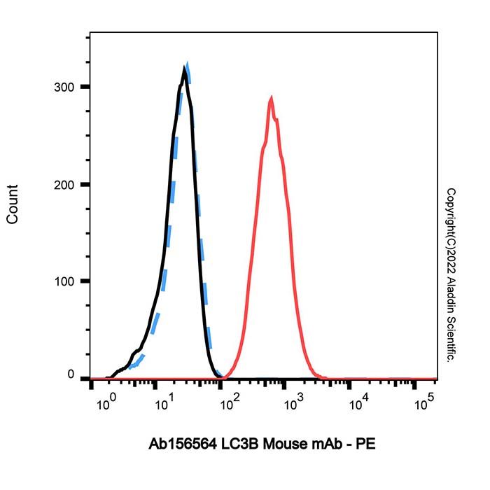 LC3B Mouse mAb