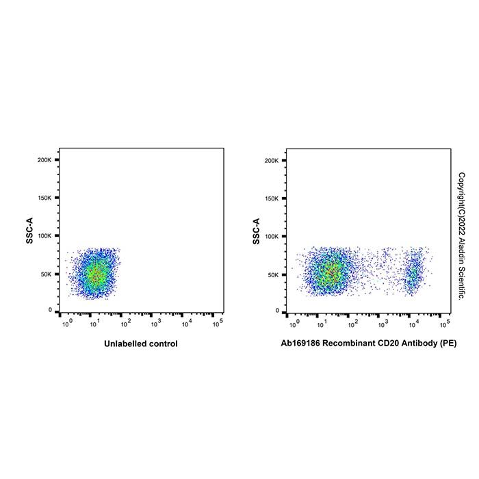 Recombinant CD20 Antibody (PE)