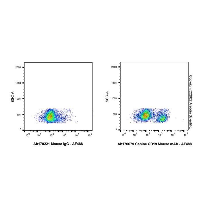 Canine CD19 Mouse mAb