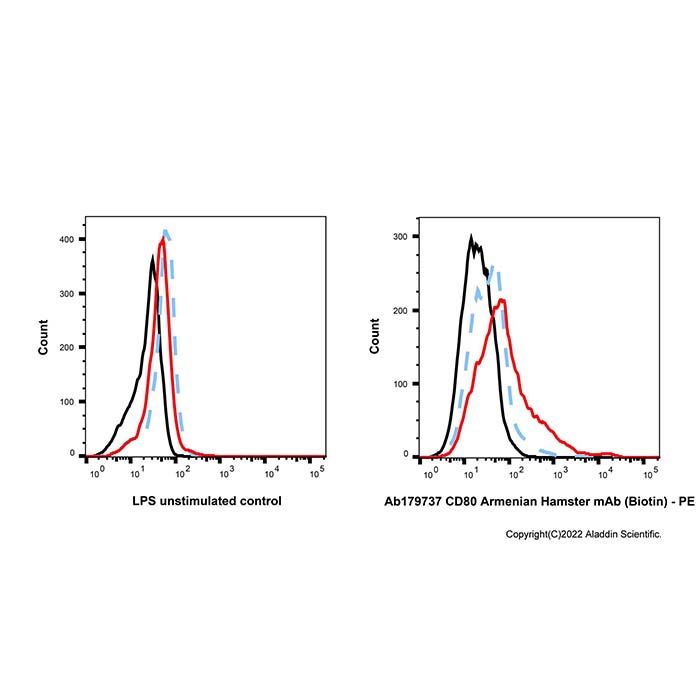 CD80 Armenian Hamster mAb (Biotin)