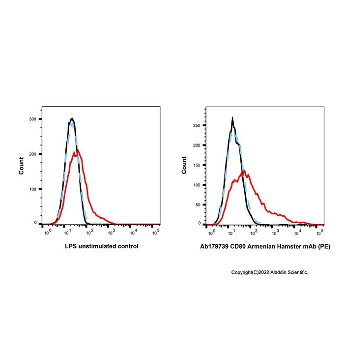 CD80 Armenian Hamster mAb (PE) 