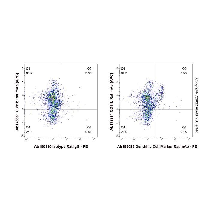 Dendritic Cell Marker Rat mAb