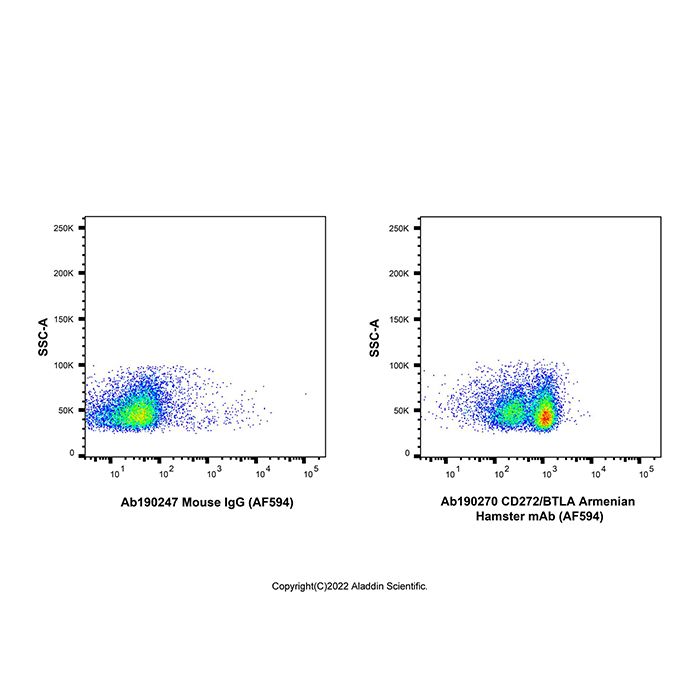 CD272/BTLA Armenian Hamster mAb (AF594)