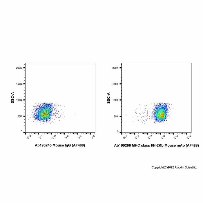 MHC class I/H-2Kb Mouse mAb (AF488)