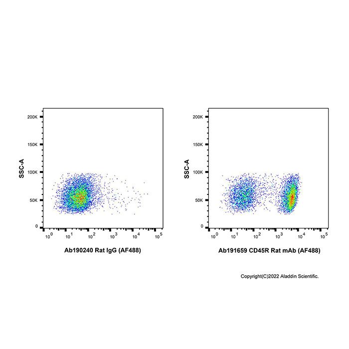 CD45R Rat mAb (AF488)