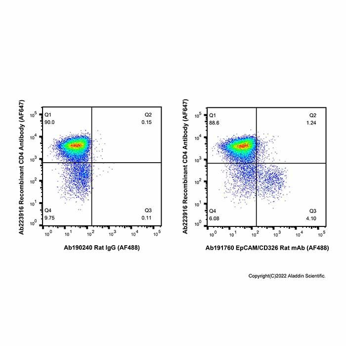 EpCAM/CD326 Rat mAb (AF488)