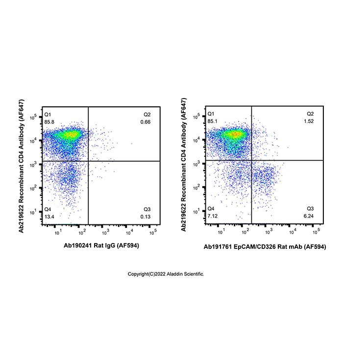 EpCAM/CD326 Rat mAb (AF594)