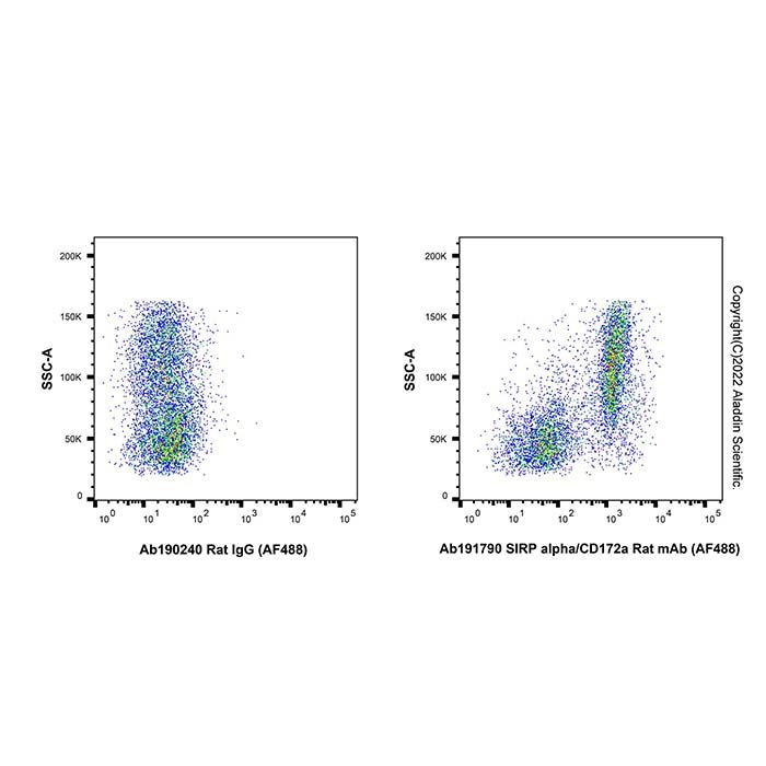 SIRP alpha/CD172a Rat mAb (AF488)