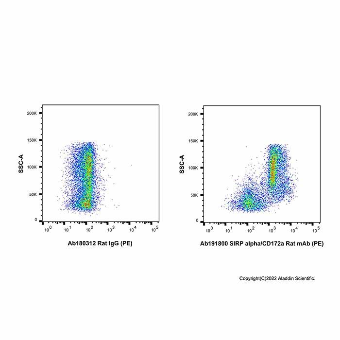 SIRP alpha/CD172a Rat mAb (PE)