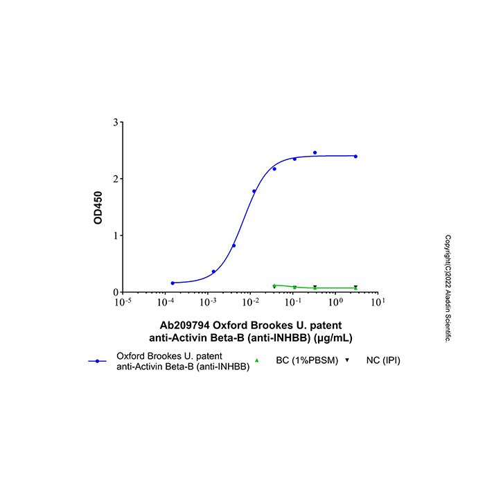 Oxford Brookes U. patent anti-Activin Beta-B (anti-INHBB)