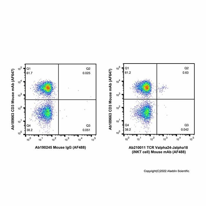 TCR Valpha24-Jalpha18 (iNKT cell) Mouse mAb (AF488)