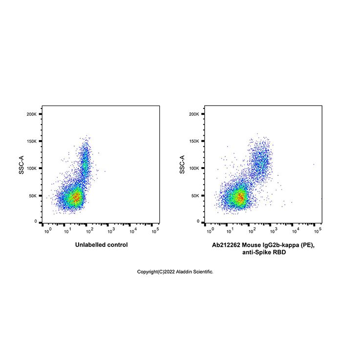 Mouse IgG2b-kappa (PE), anti-Spike RBD