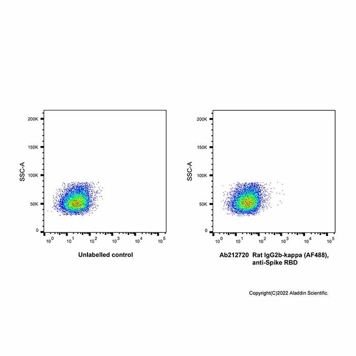 Rat IgG2b-kappa (AF488), anti-Spike RBD