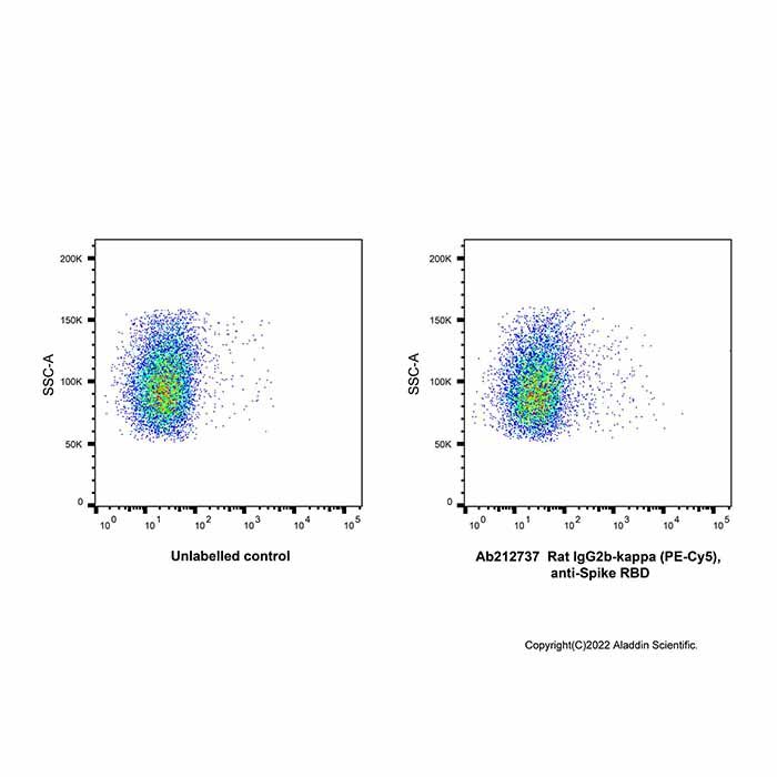 Rat IgG2b-kappa (PE-Cy5), anti-Spike RBD