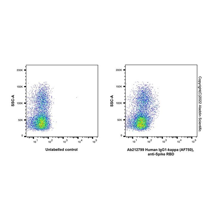 Human IgG1-kappa (AF750), anti-Spike RBD