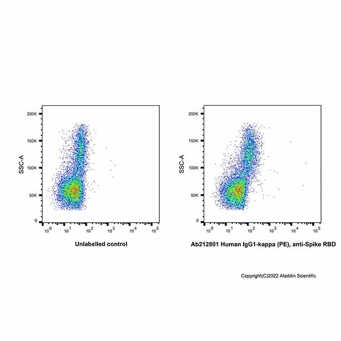 Human IgG1-kappa (PE), anti-Spike RBD