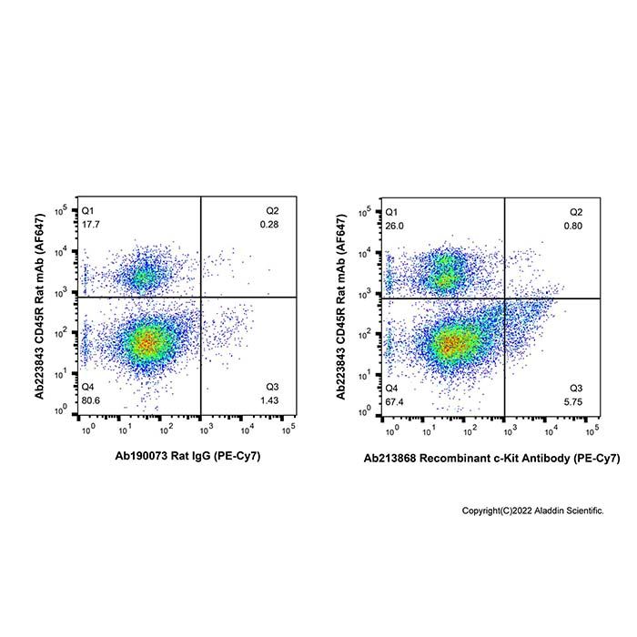 Recombinant c-Kit Antibody (PE-Cy7) 