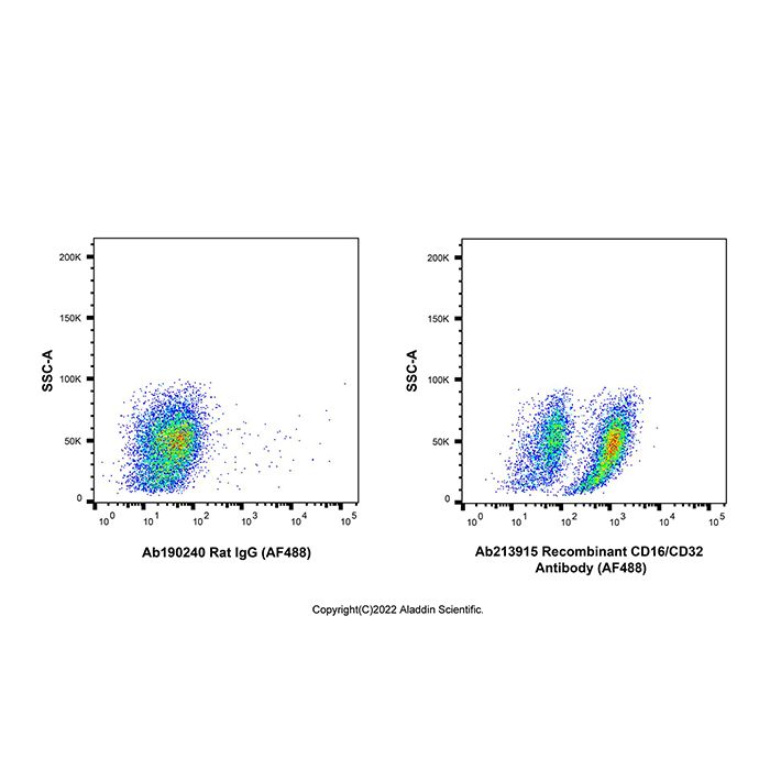 Recombinant CD16/CD32 Antibody (AF488)