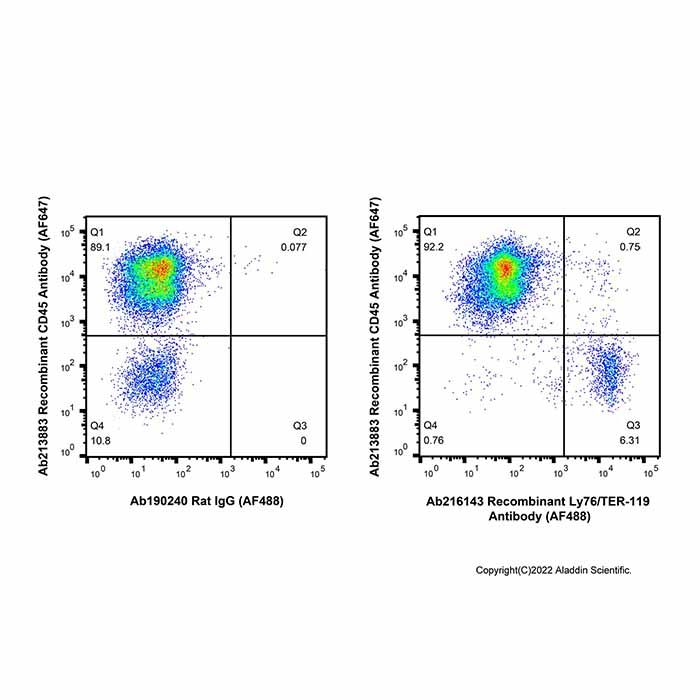 Recombinant Ly76/TER-119 Antibody (AF488)