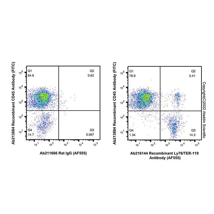 Recombinant Ly76/TER-119 Antibody (AF555)