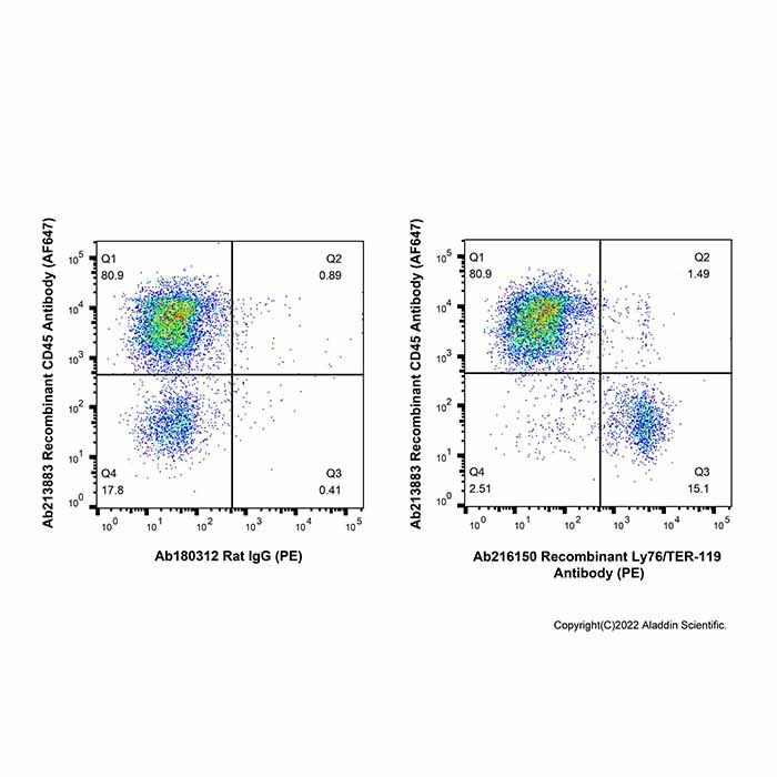 Recombinant Ly76/TER-119 Antibody (PE)