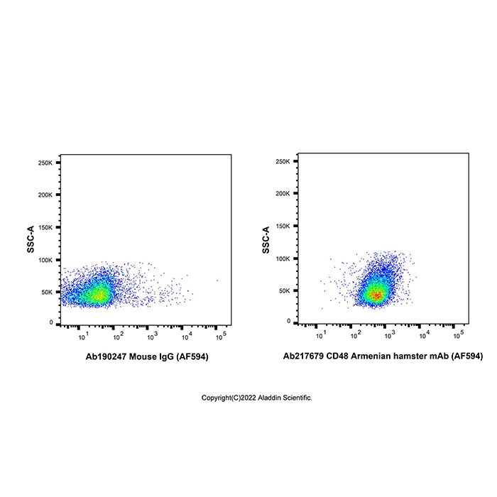 CD48 Armenian hamster mAb (AF594)